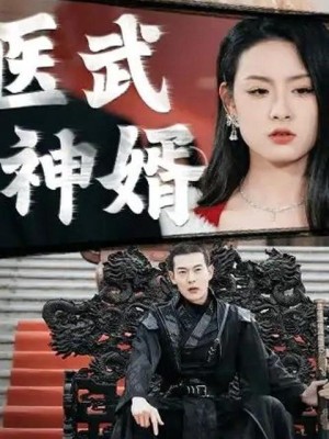 Võ Tế Thần Y - 医神武婿 (2025)